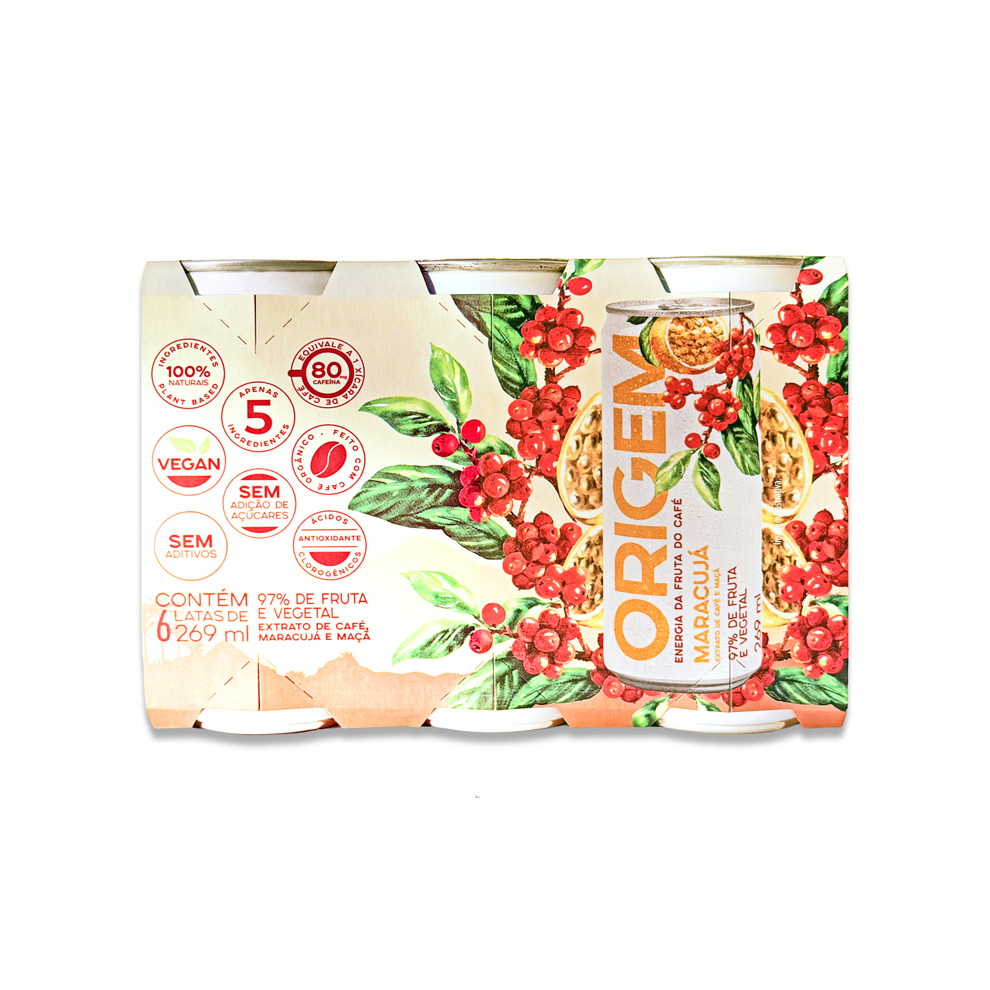 PASSION FRUIT (6 cans of 269 ml)