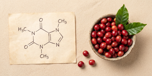 Compostos bioativos do café: muito além da cafeína