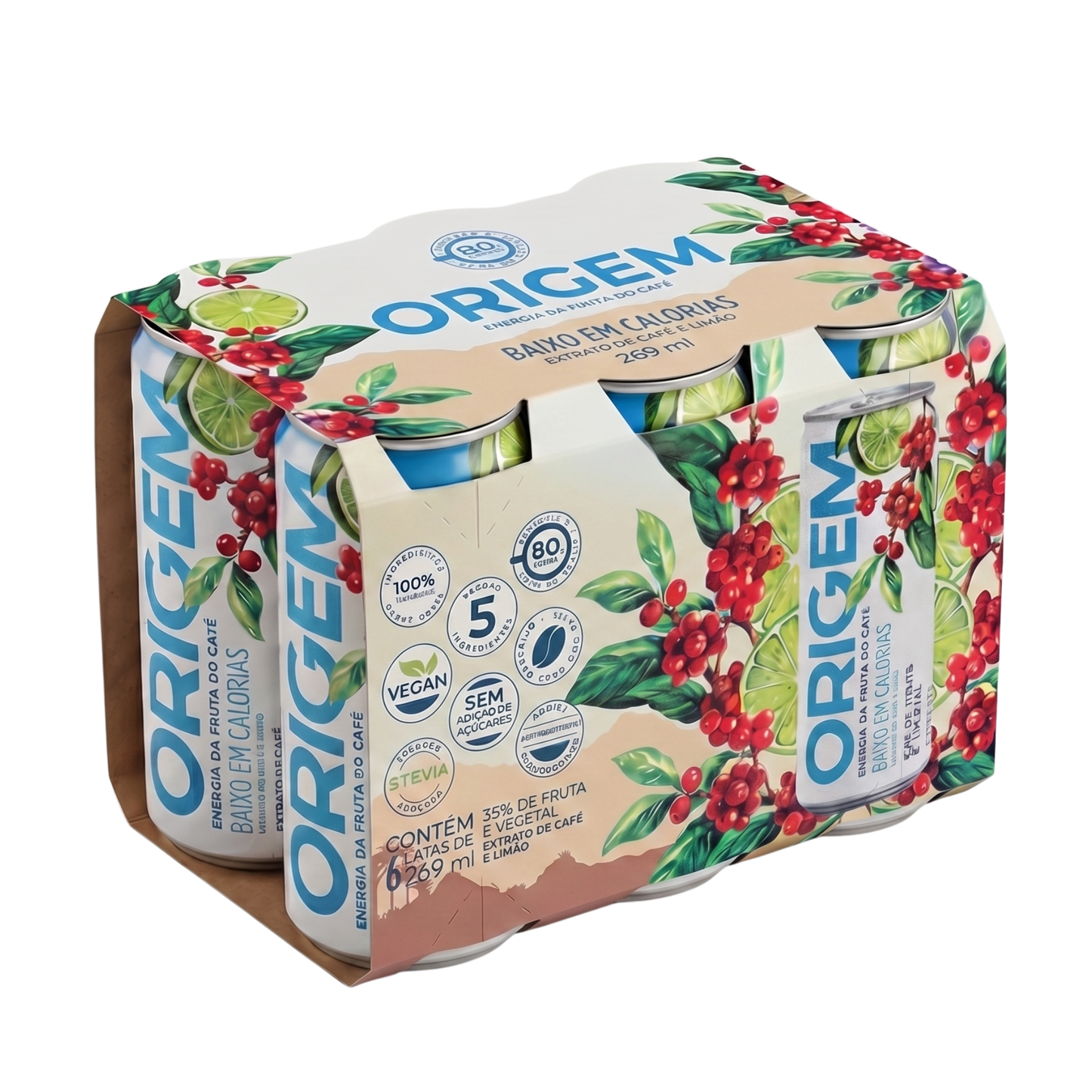 TRADICIONAL de BAIXA CALORIA (6 latas de 269 ml)