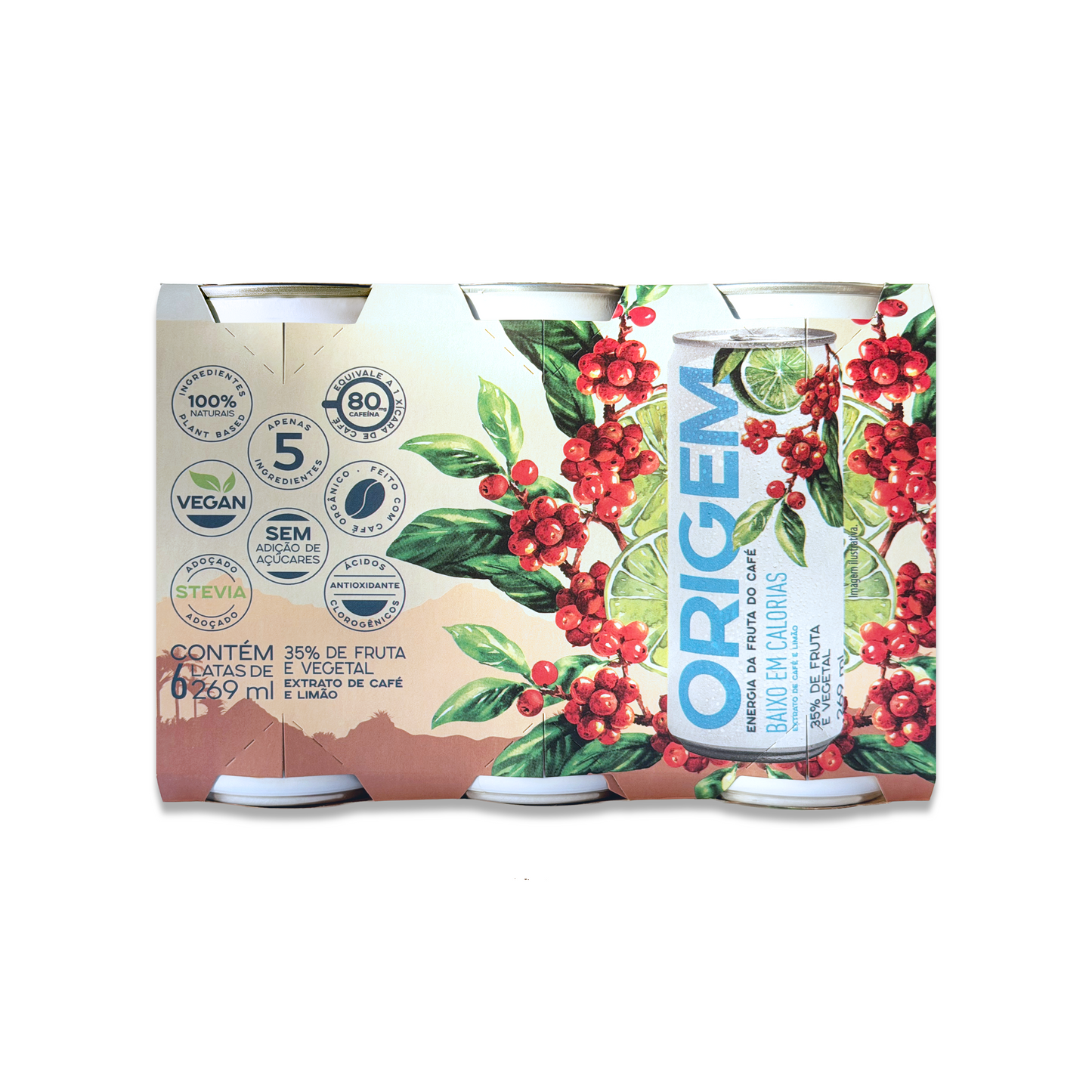 TRADICIONAL de BAIXA CALORIA (6 latas de 269 ml)